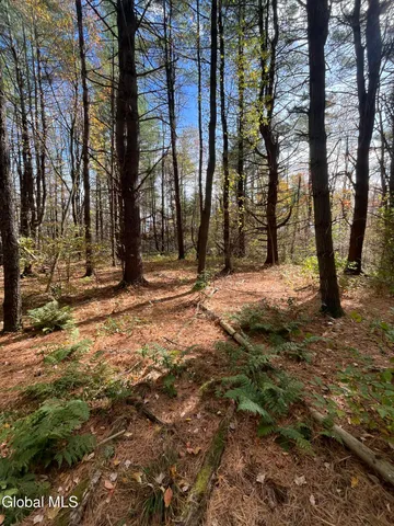 $149,000 | L5.2 Warner Road, Granville, NY 12832