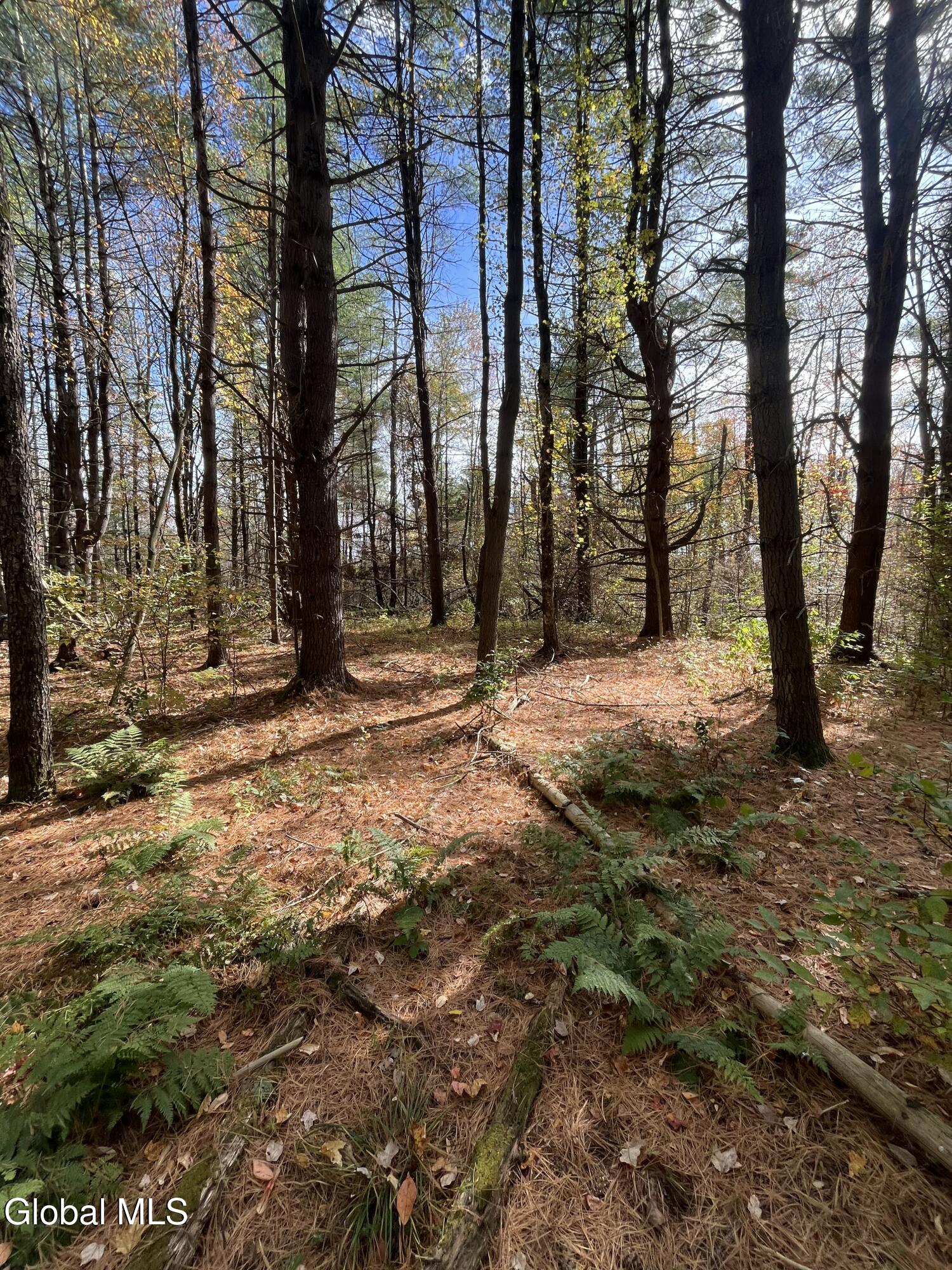 L5.2 Warner Road Granville, NY 12832 - Photo 16 of 20 IMG_9369