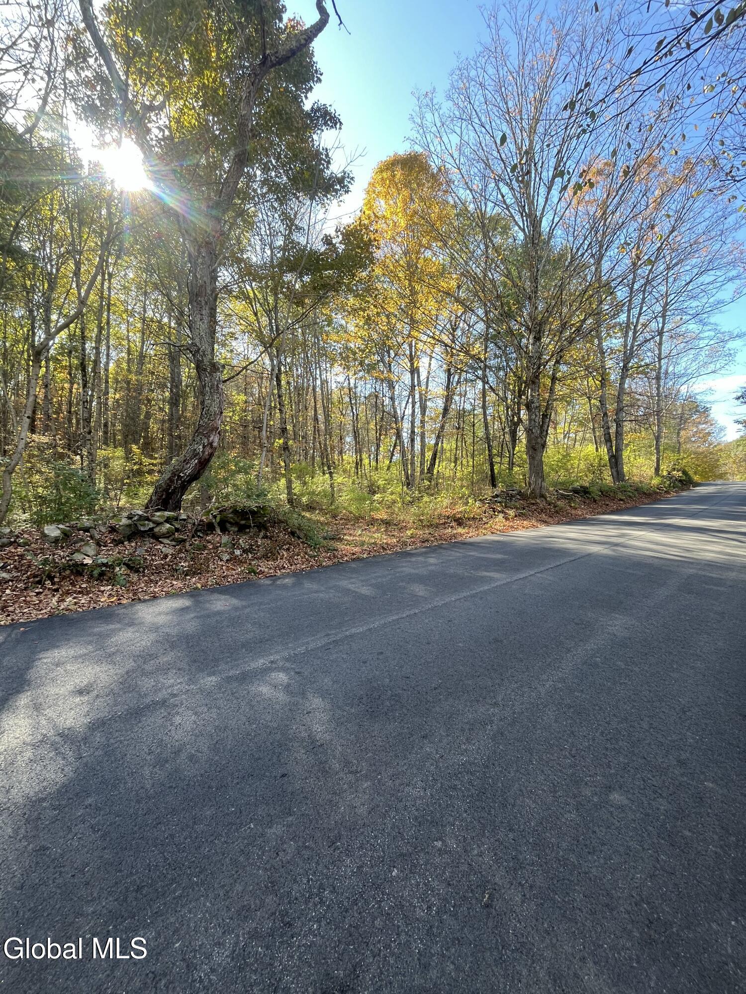 L5.2 Warner Road Granville, NY 12832 - Photo 17 of 20 IMG_9351