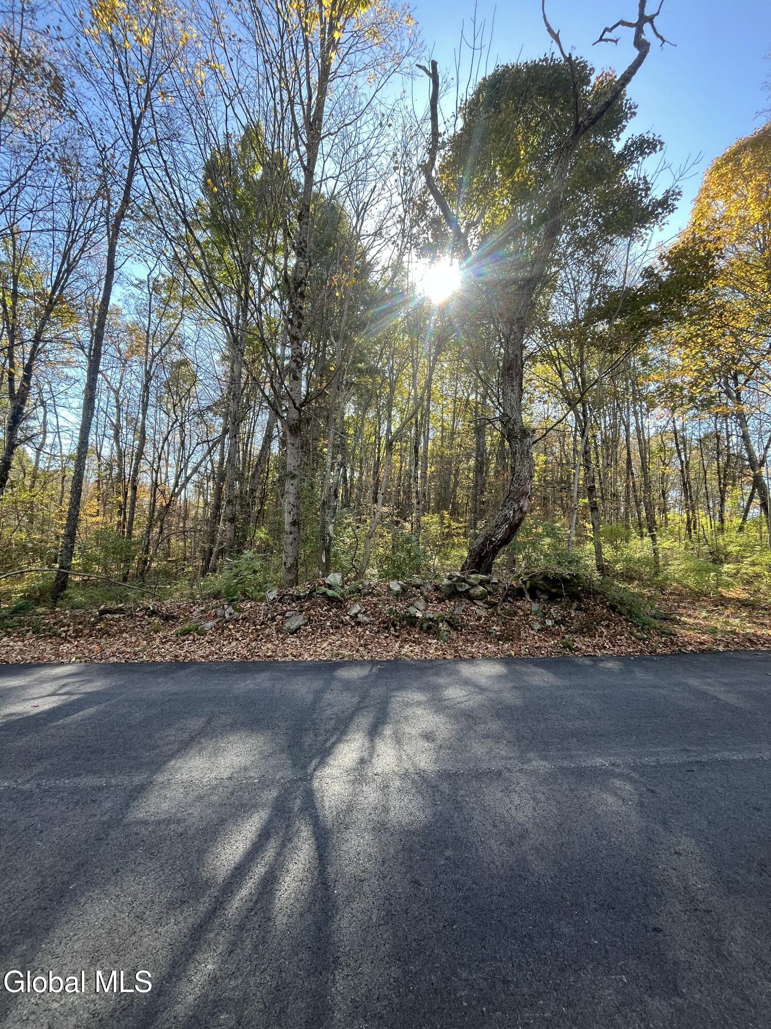 L5.2 Warner Road Granville, NY 12832 - Photo 19 of 20 IMG_9352