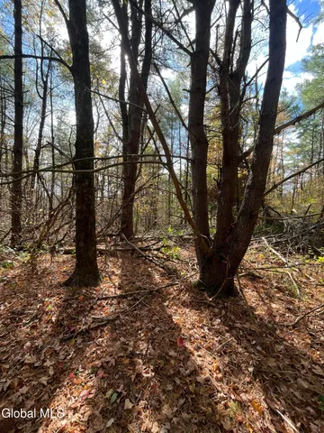 $149,000 | L5.2 Warner Road, Granville, NY 12832