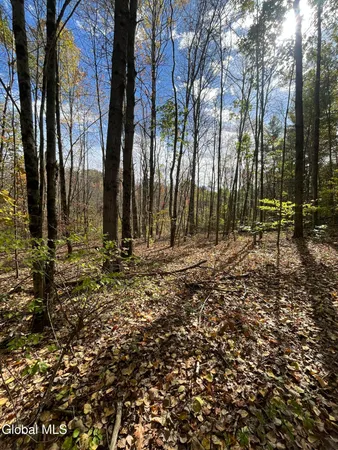 $139,000 | L5.2 Warner Road, Granville, NY 12832