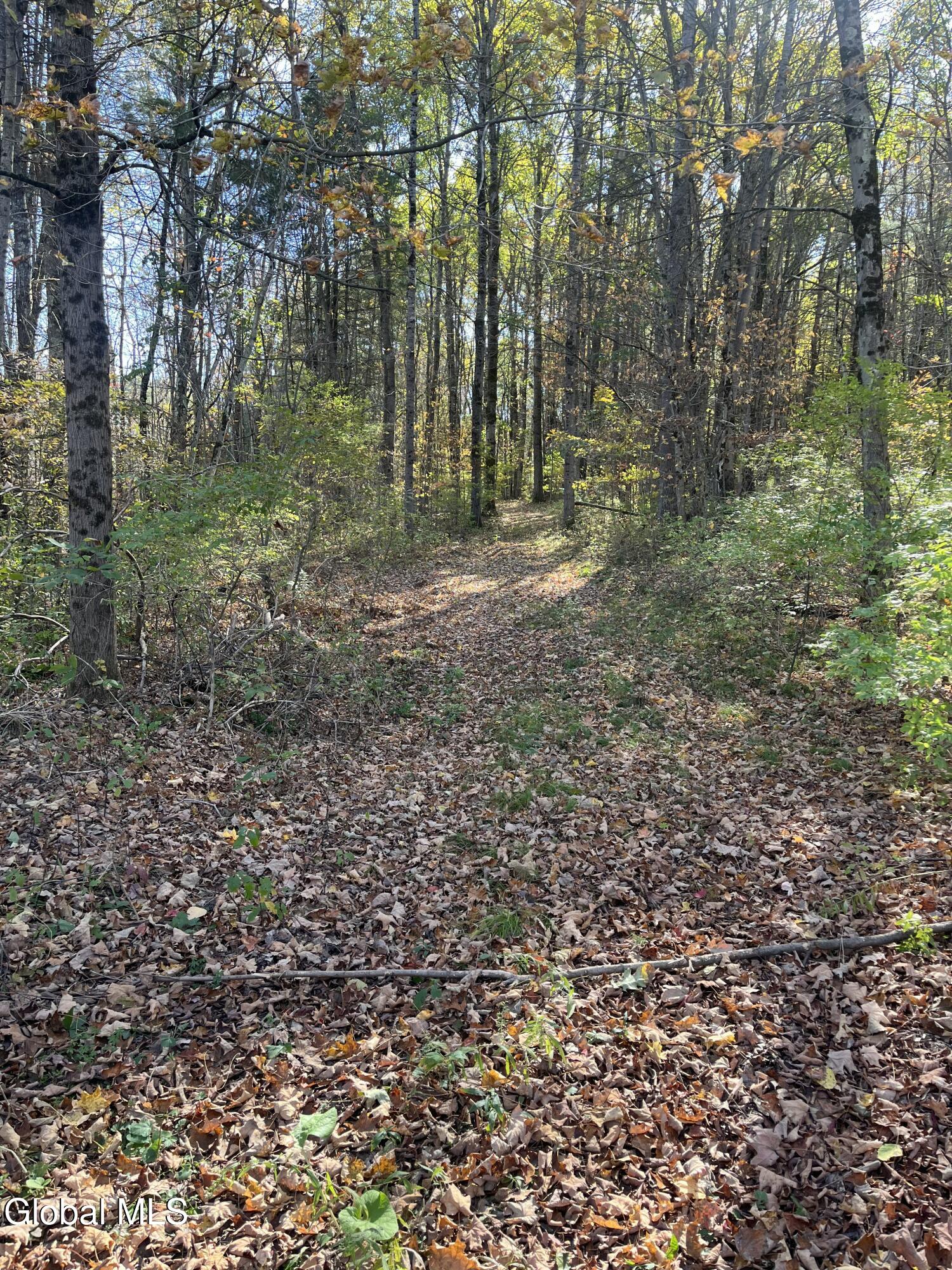 L5.2 Warner Road Granville, NY 12832 - Photo 4 of 20 IMG_9350