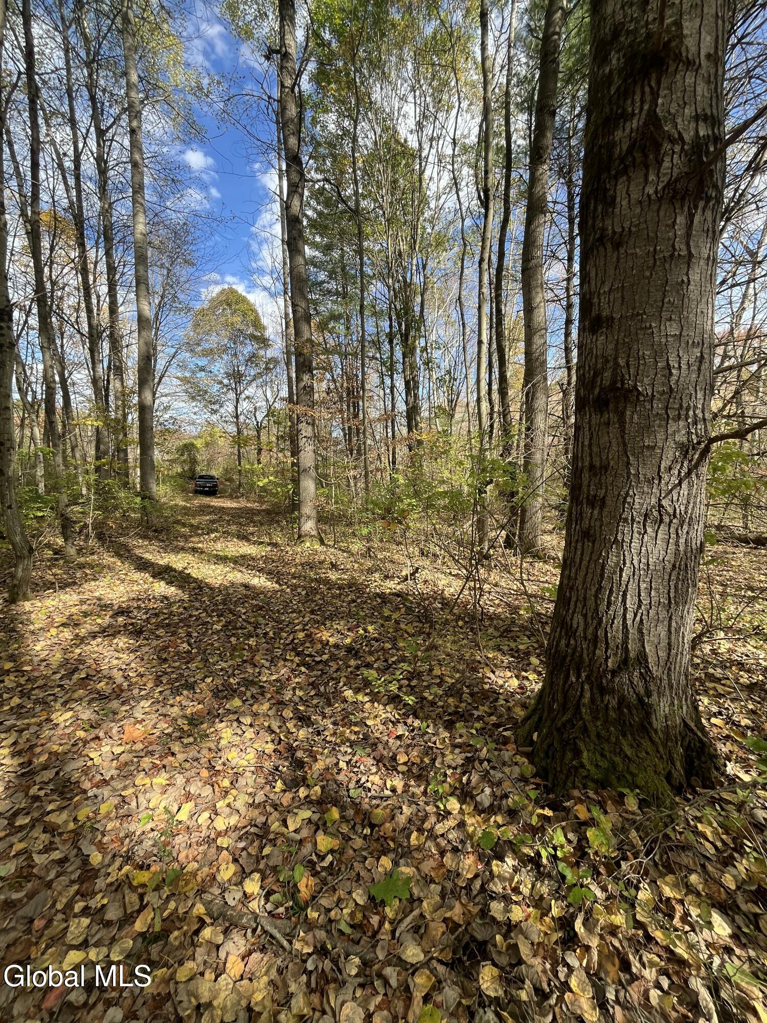 L5.2 Warner Road Granville, NY 12832 - Photo 4 of 20 IMG_9364