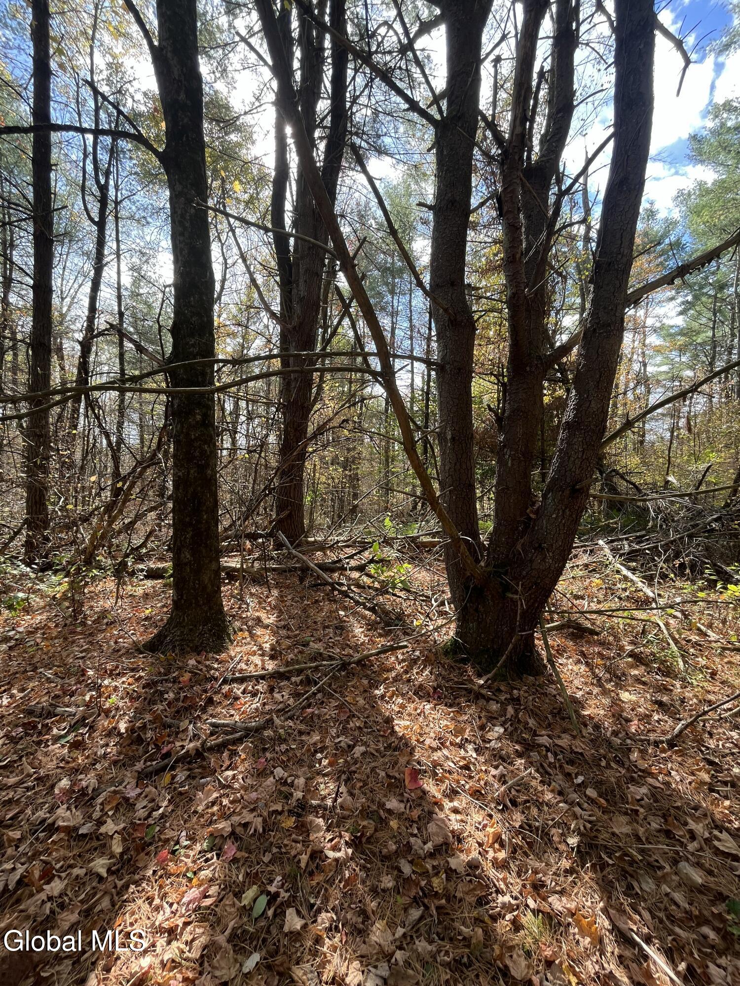 L5.2 Warner Road Granville, NY 12832 - Photo 5 of 20 IMG_9368