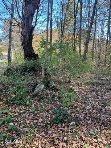 $149,000 | L5.2 Warner Road, Granville, NY 12832