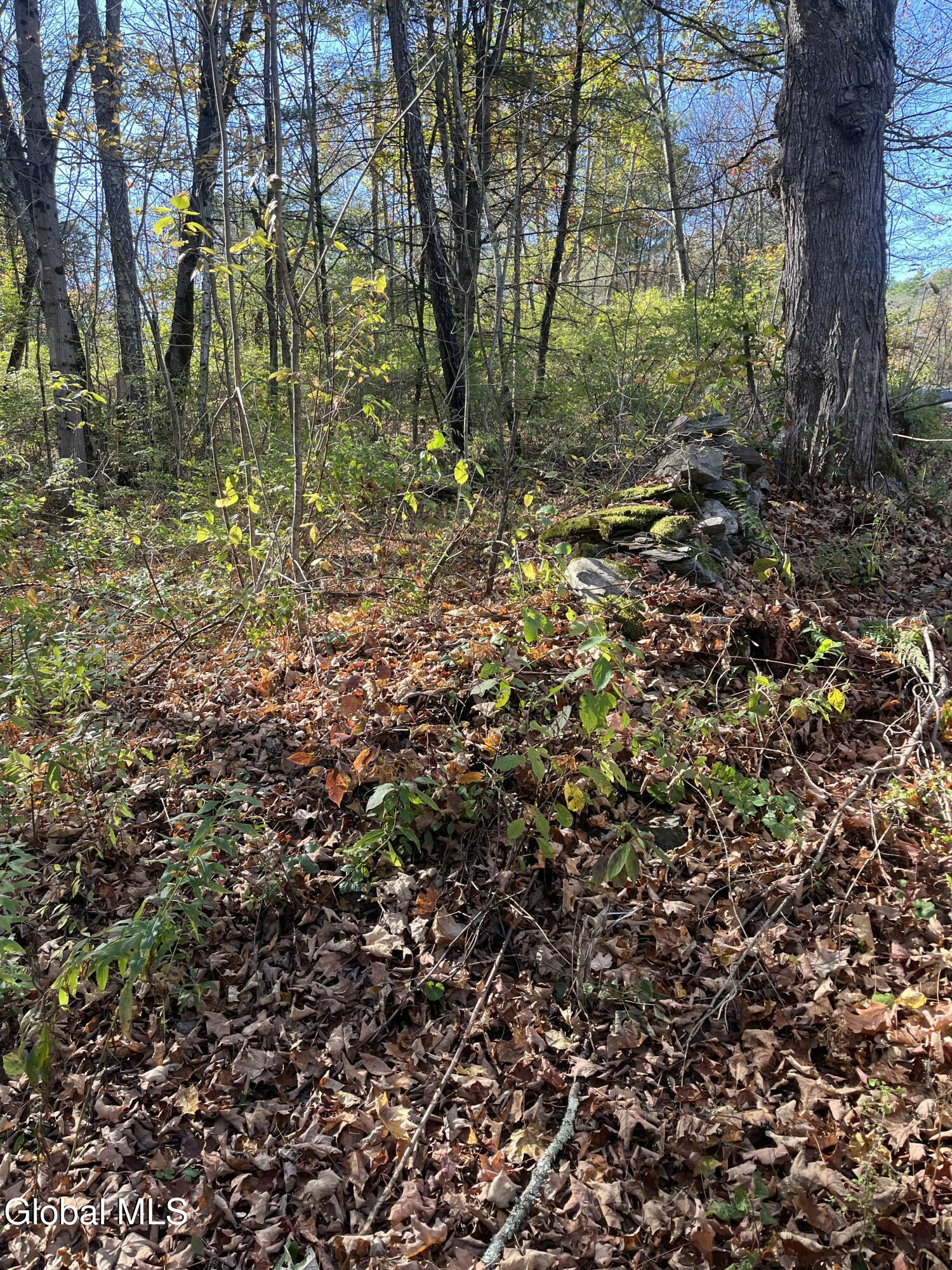 L5.2 Warner Road Granville, NY 12832 - Photo 6 of 20 IMG_9349