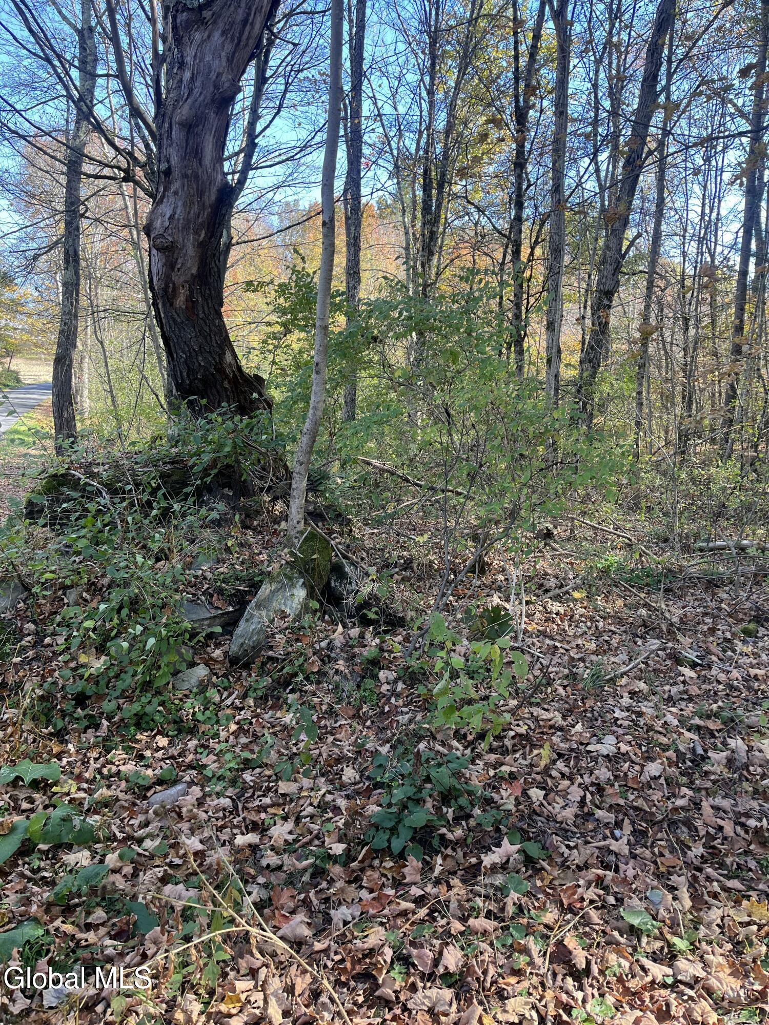 L5.2 Warner Road Granville, NY 12832 - Photo 7 of 20 IMG_9348