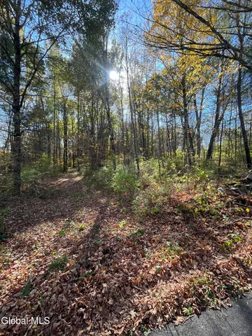 $149,000 | L5.2 Warner Road, Granville, NY 12832