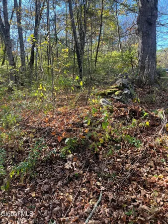 $139,000 | L5.2 Warner Road, Granville, NY 12832