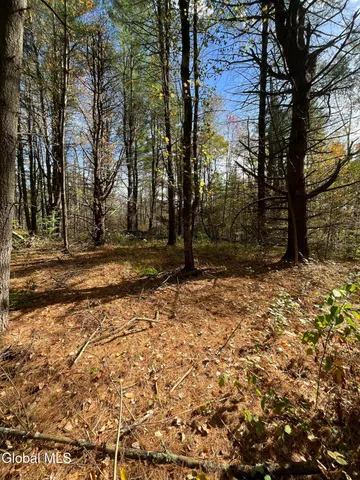 $149,000 | L5.2 Warner Road, Granville, NY 12832