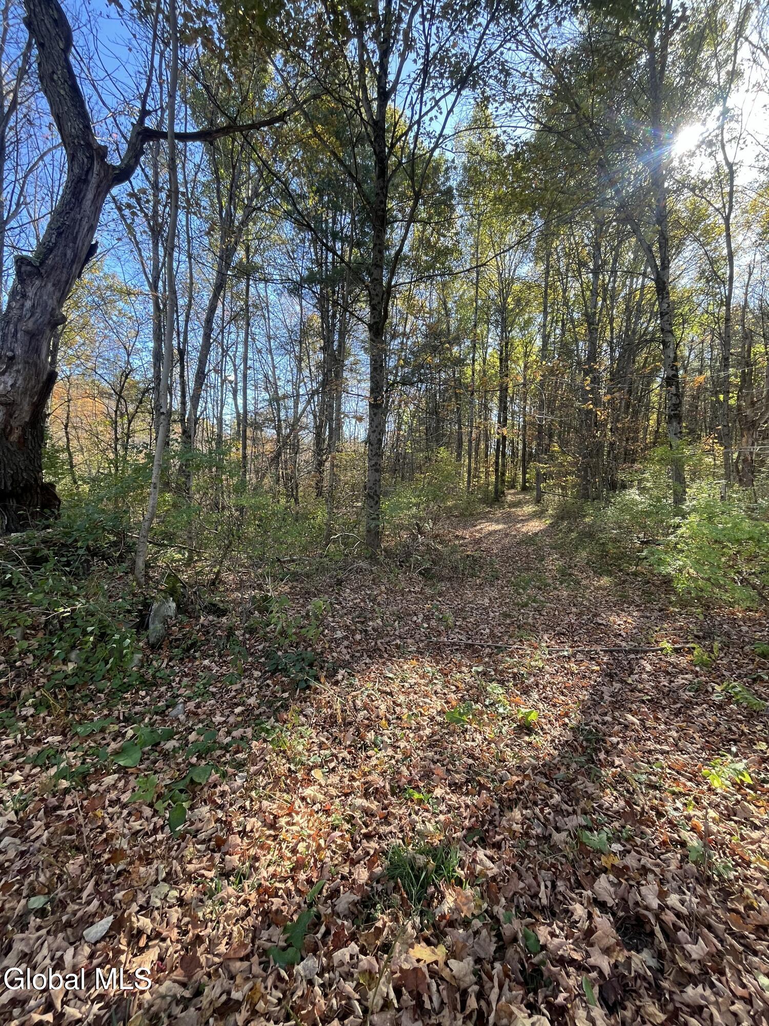 L5.2 Warner Road Granville, NY 12832 - Photo 10 of 20 IMG_9354