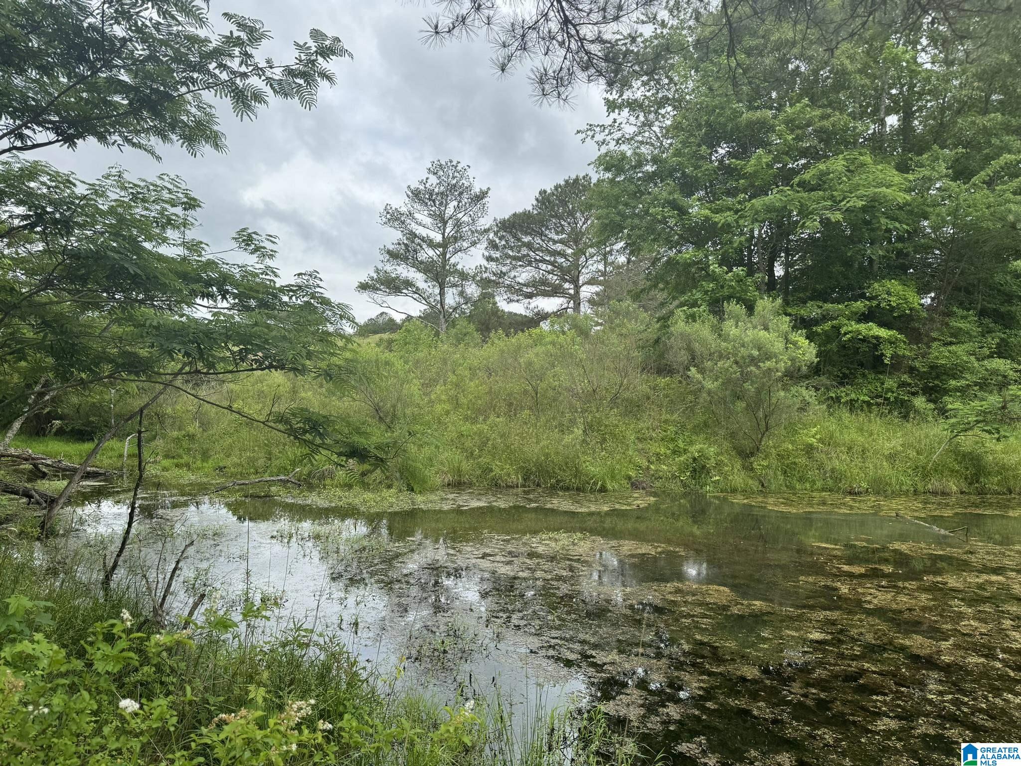 0 Busby Cut Off Road Nauvoo, AL 35578 - Photo 2 of 7