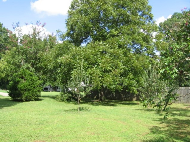 1300 Carpenter Fletcher Road Durham, NC 27713 - Photo 3 of 25 Photo 3