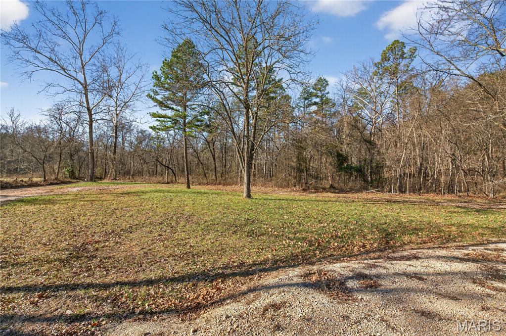 347 Bristol Cemetery Road Fremont, MO 63941 - Photo 5 of 19