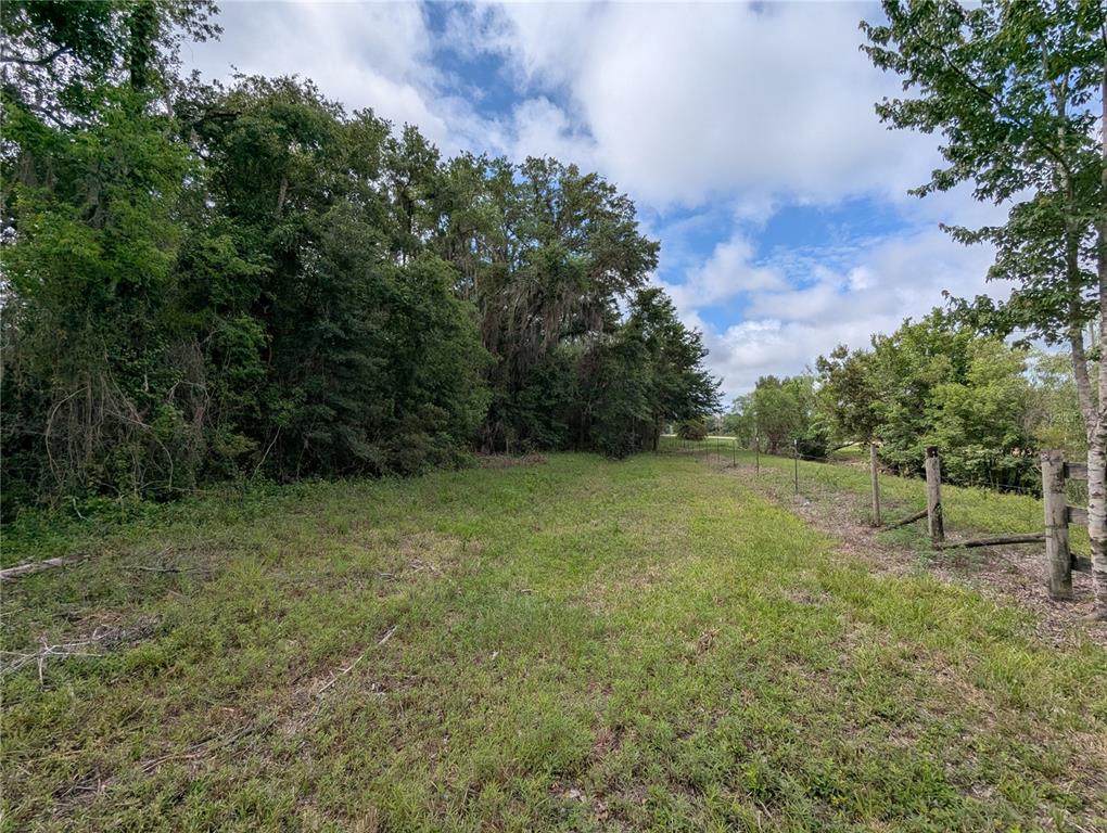 91st Street Alachua, FL 32615 - Photo 16 of 36 a view of outdoor space and yard
