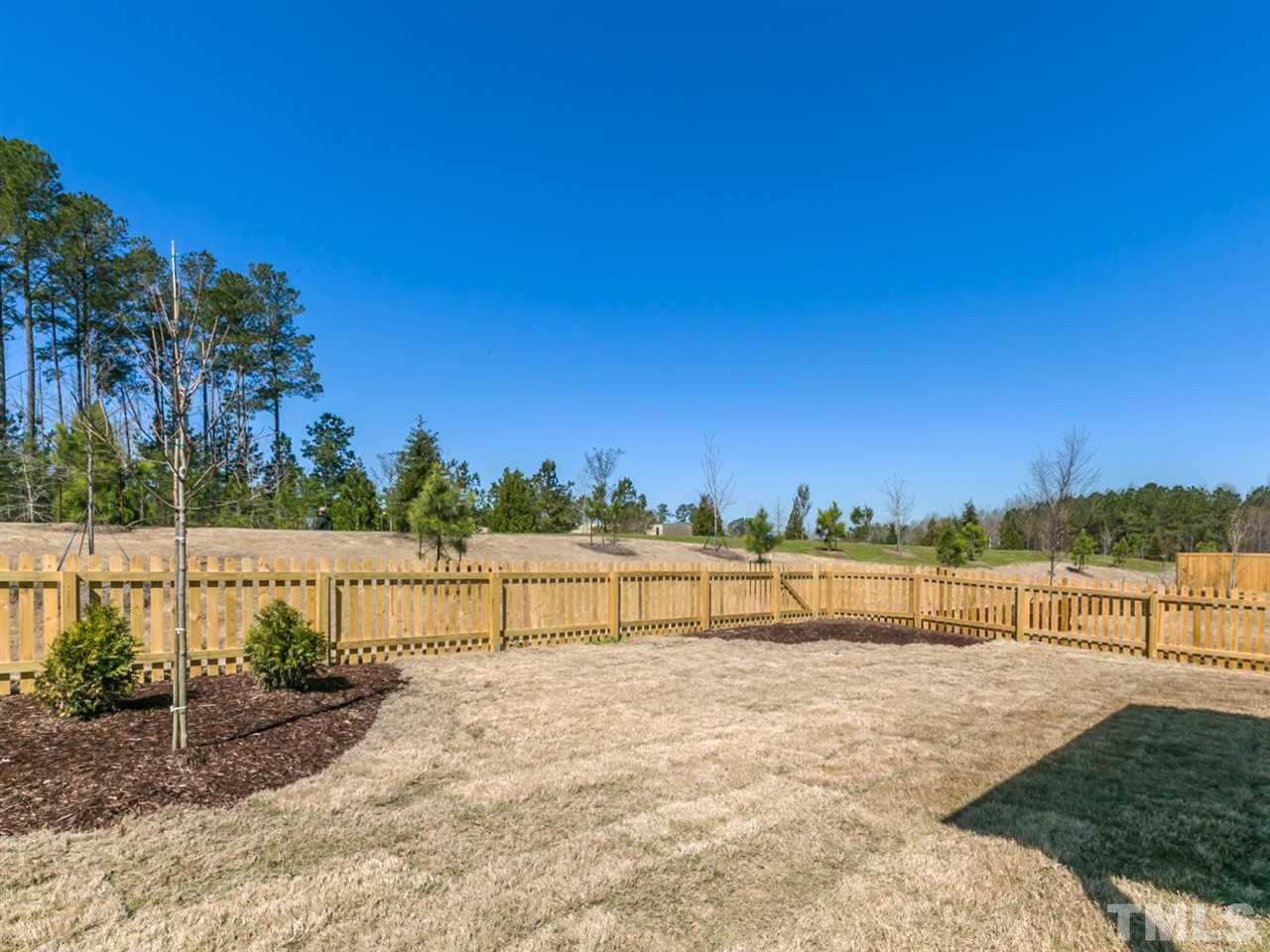 536 Future Islands Way Wendell, NC 27591 - Photo 22 of 27