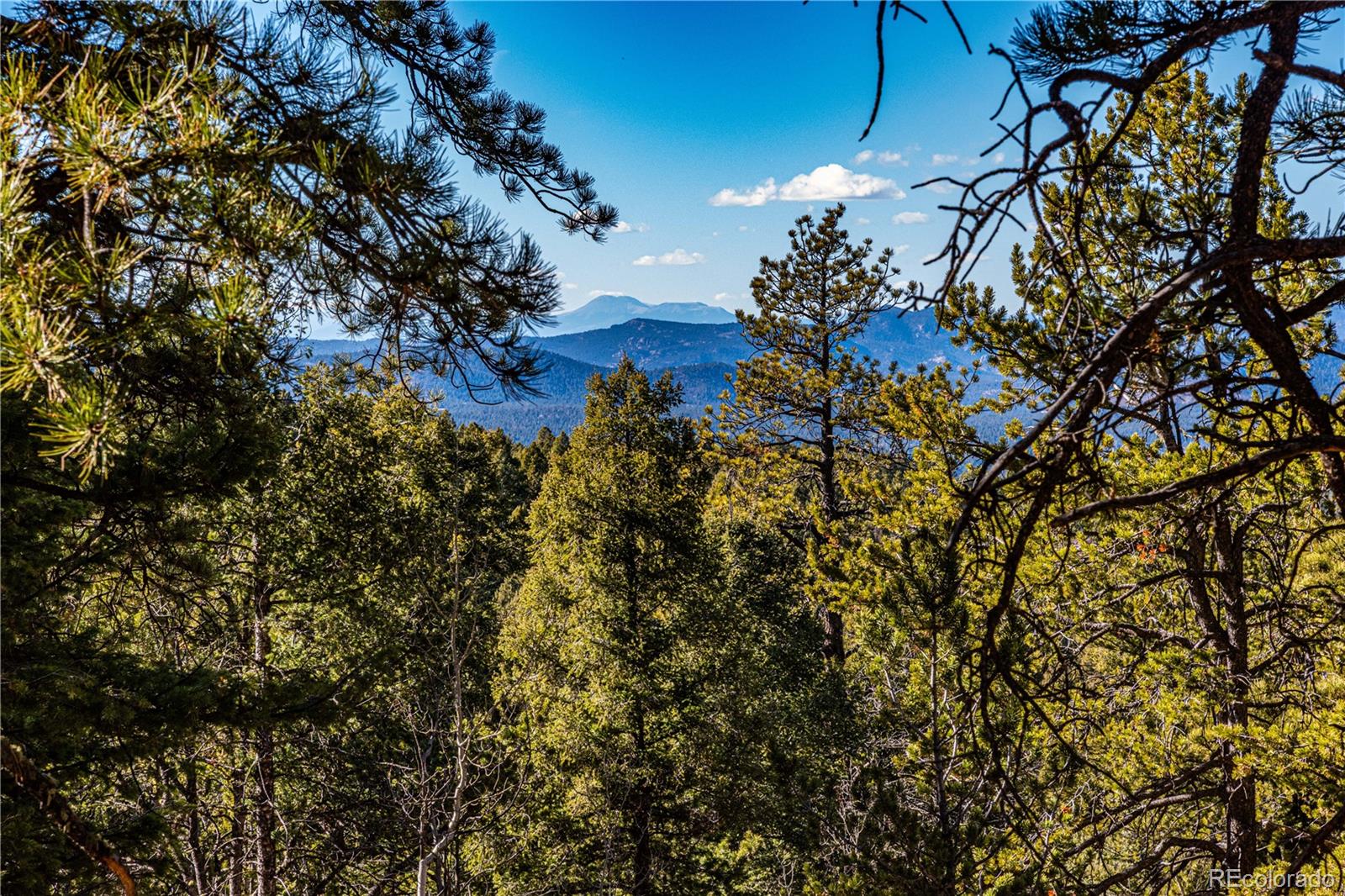 0 Arrowhead Road Florissant, CO 80816 - Photo 31 of 50 Gallery Image 31