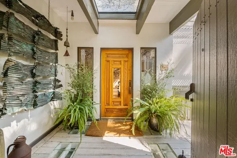 a potted plant in front of a door