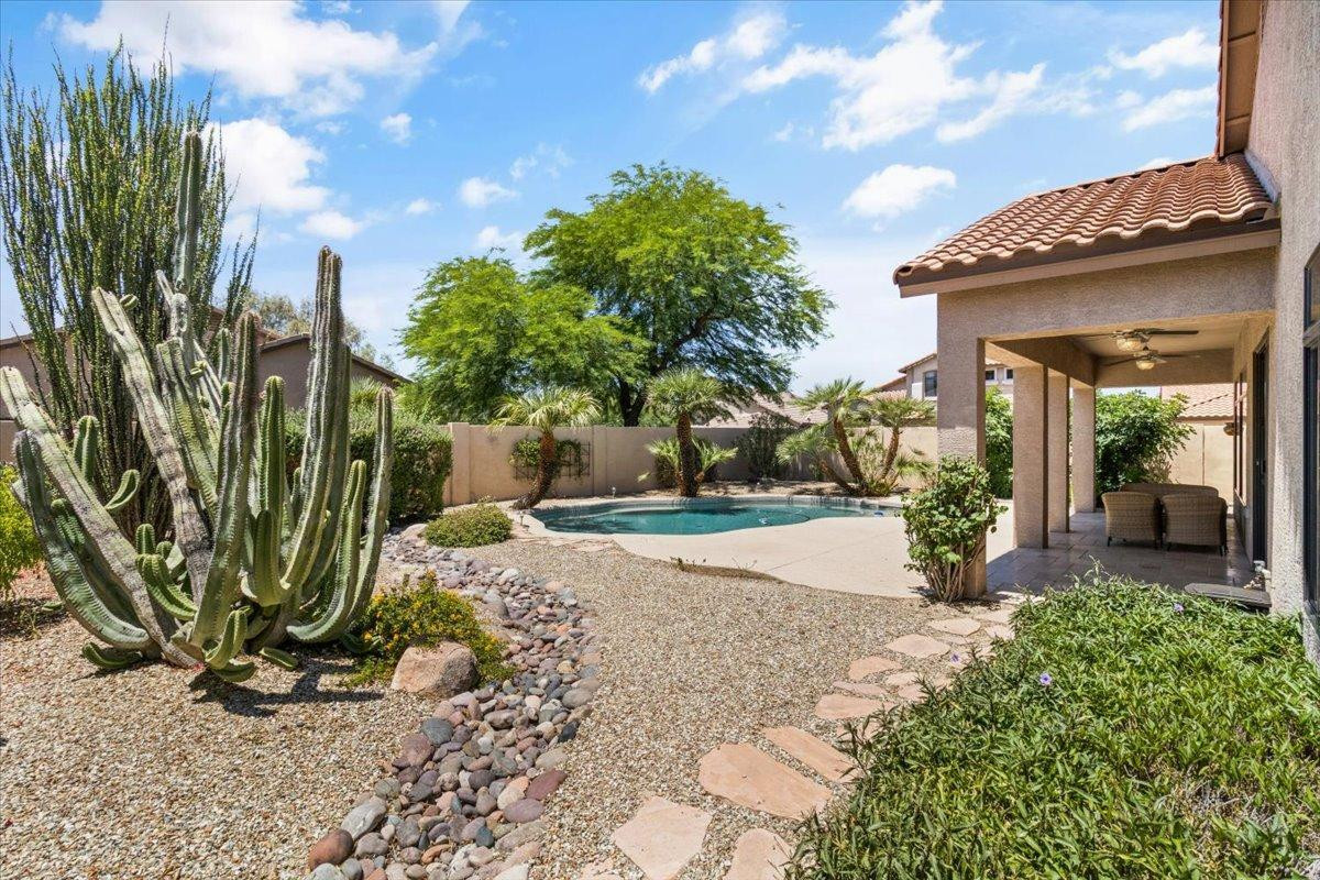 4211 East Kirkland Road Phoenix, AZ 85050 - Photo 18 of 23 a view of a house with backyard and a tree
