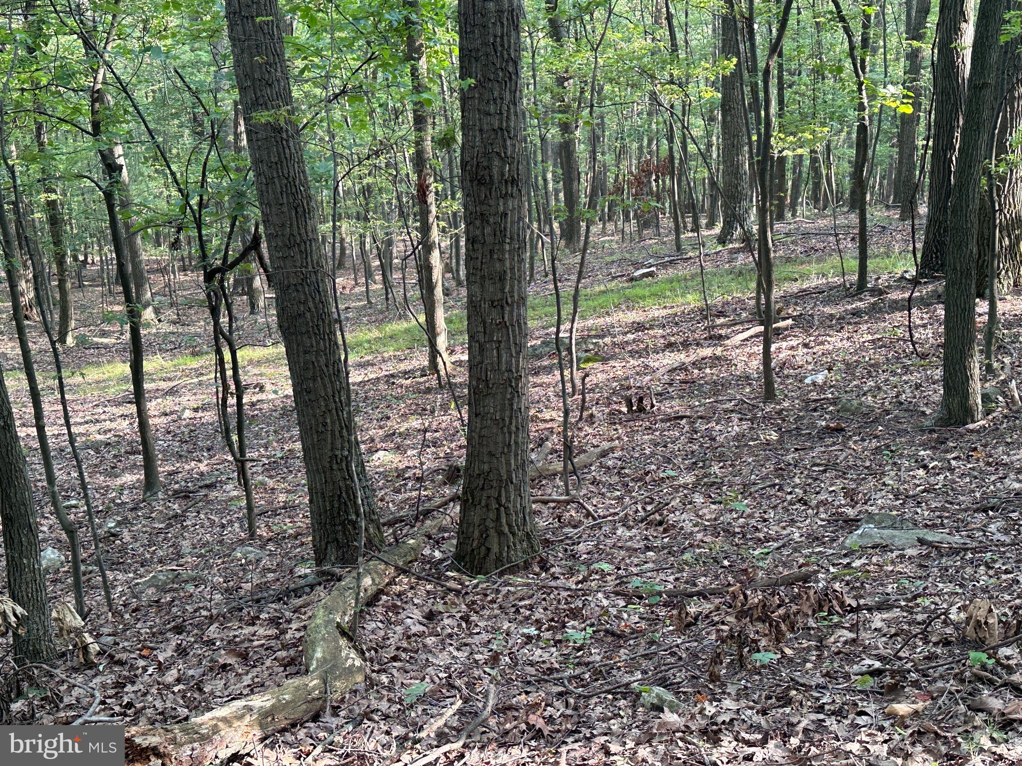 0 Hanging Rock Road Clear Spring, MD 21722 - Photo 28 of 30 Gallery Image 28
