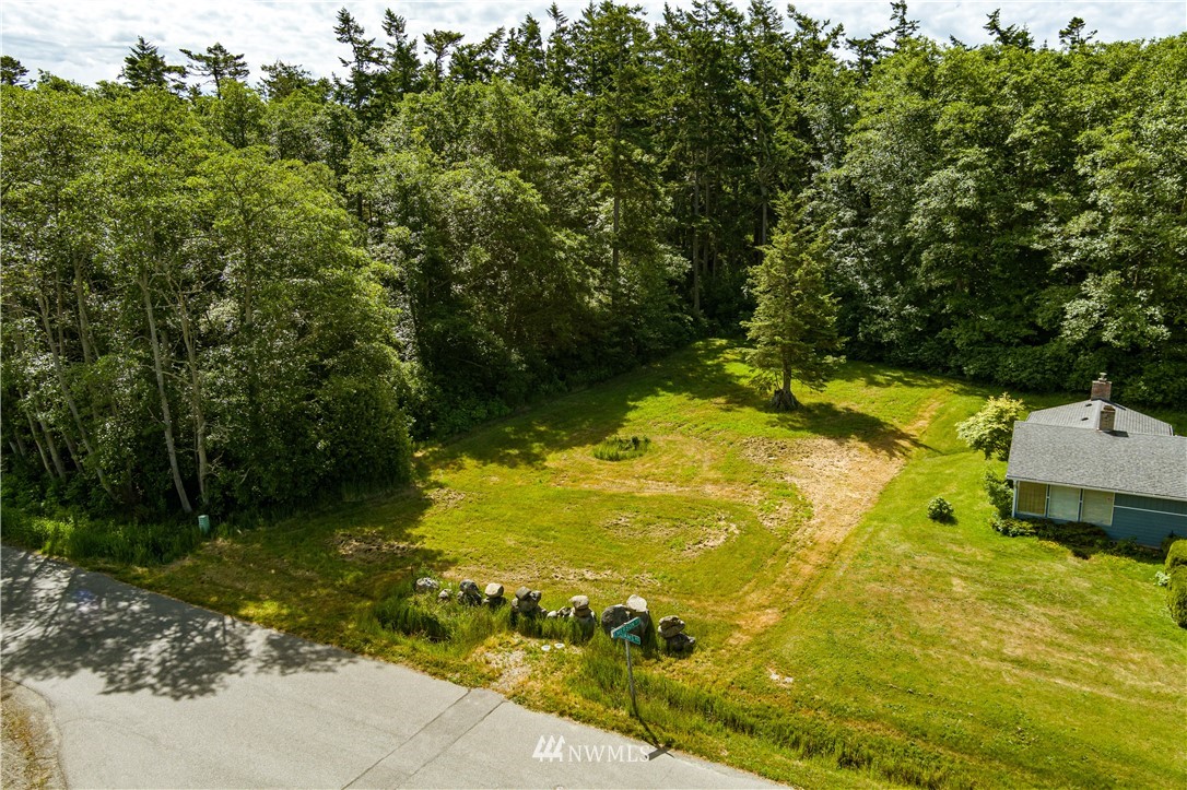 0 Williams Road Oak Harbor, WA 98277 - Photo 3 of 13 Gallery Image 3