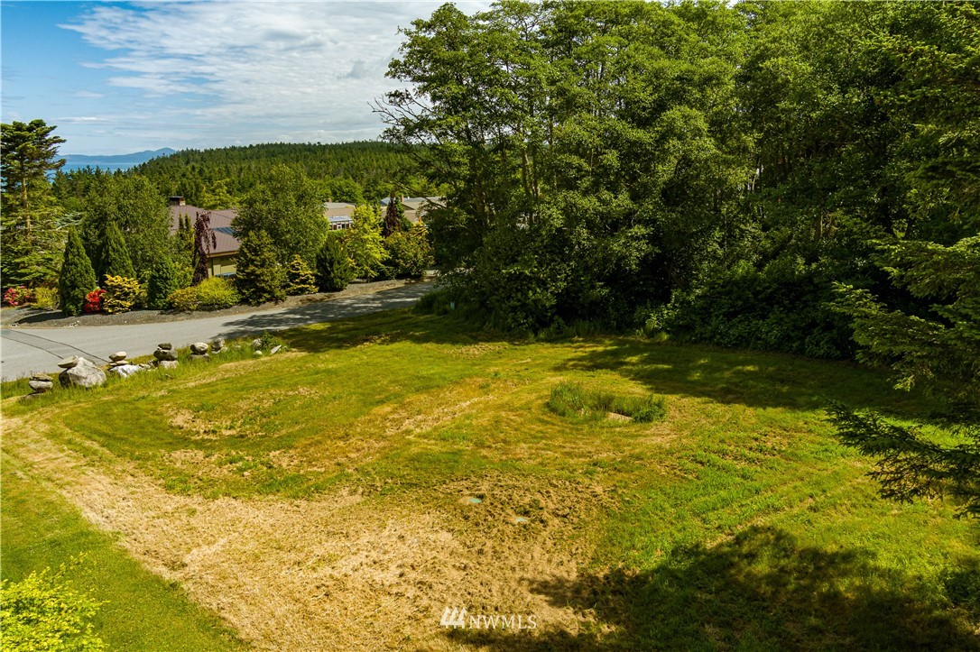 0 Williams Road Oak Harbor, WA 98277 - Photo 6 of 13 Gallery Image 6