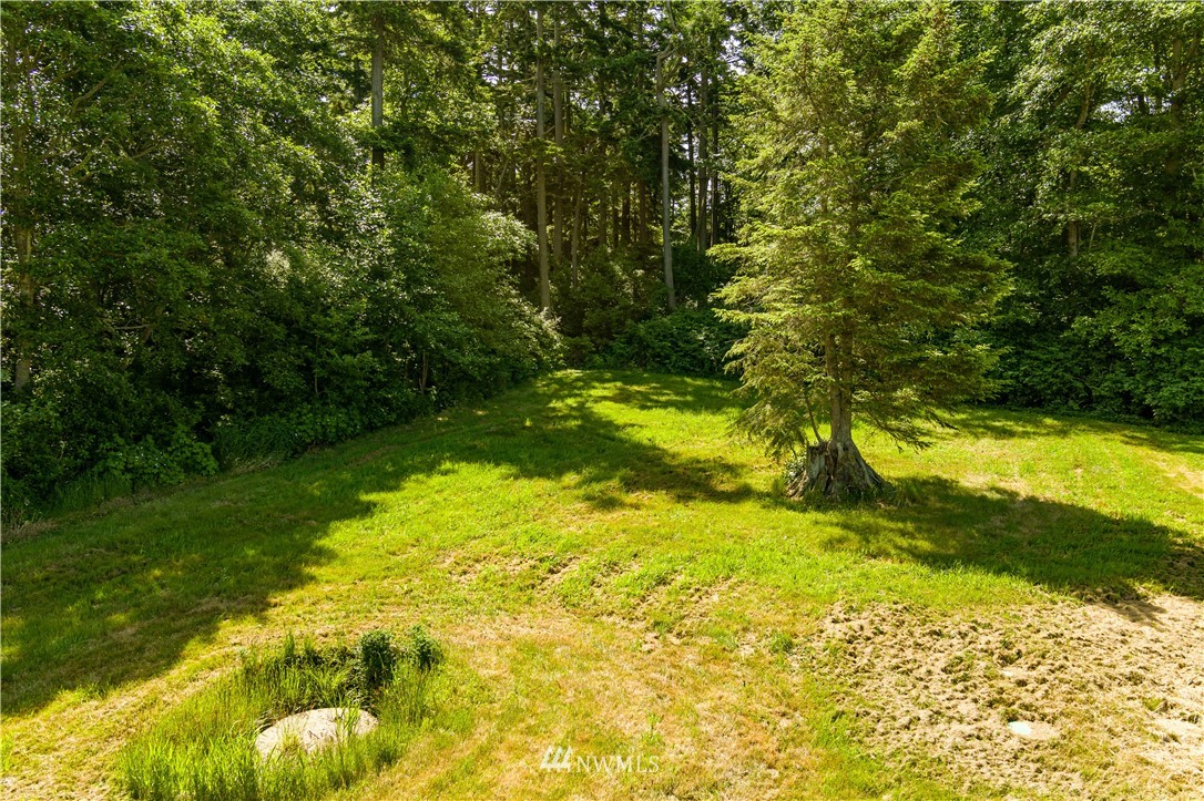 0 Williams Road Oak Harbor, WA 98277 - Photo 7 of 13 Gallery Image 7