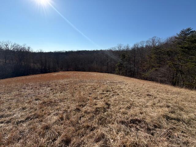 0 Calico Ridge Road Logan, OH 43138 - Photo 7 of 18 IMG_1441
