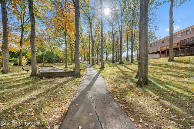 a view of a yard with trees