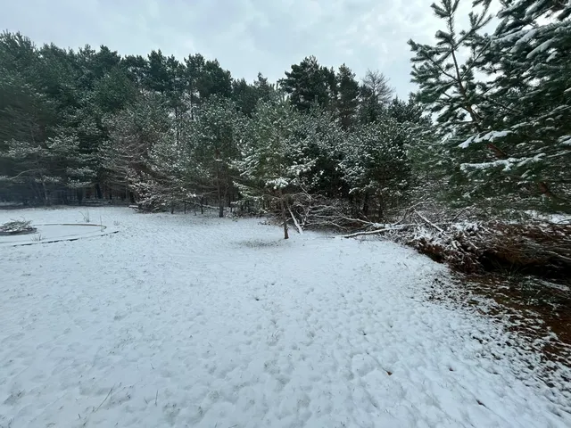 $355,000 | 15067 Winding Crk Drive, Bear Lake, MI 49614