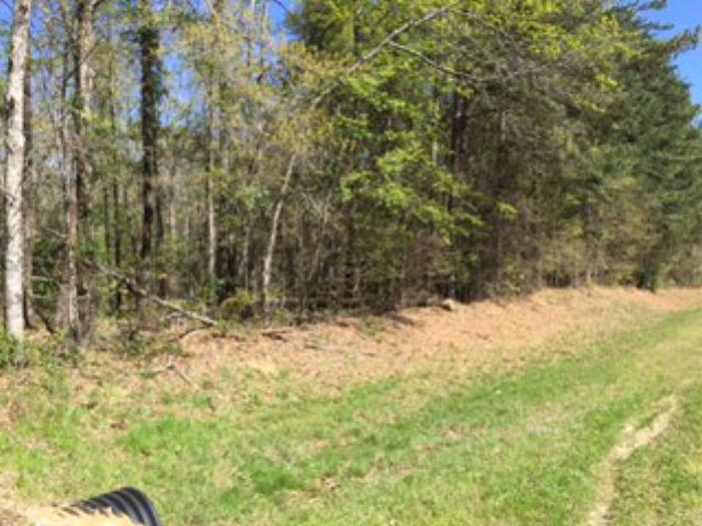 -lot B Sawdust Road Harlem, GA 30814 - Photo 1 of 1 Main View