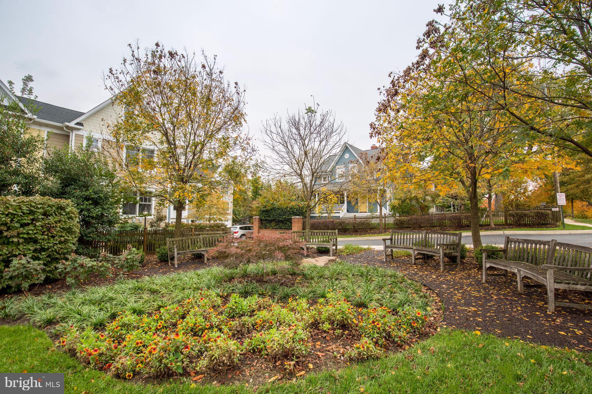 8815 Courts Way Silver Spring, MD 20910 - Photo 5 of 30 Plenty of Walking Areas in Community