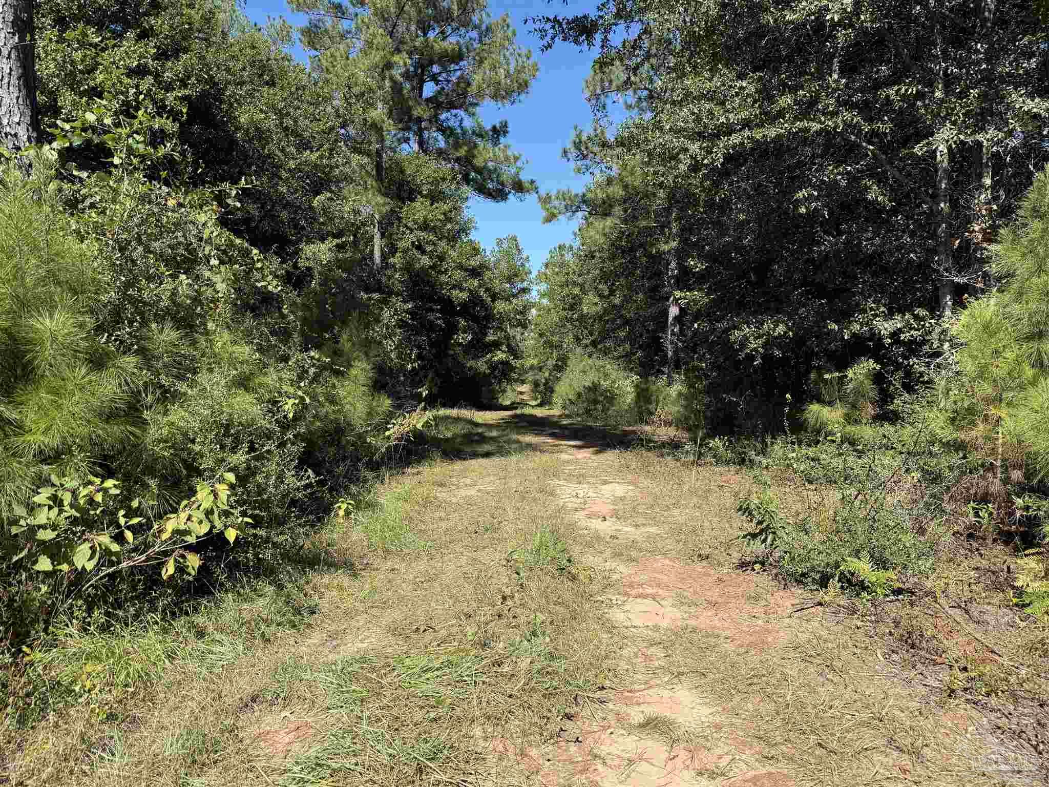 0 Sid Hayes Road Jay, FL 32565 - Photo 11 of 11 Gallery Image 11