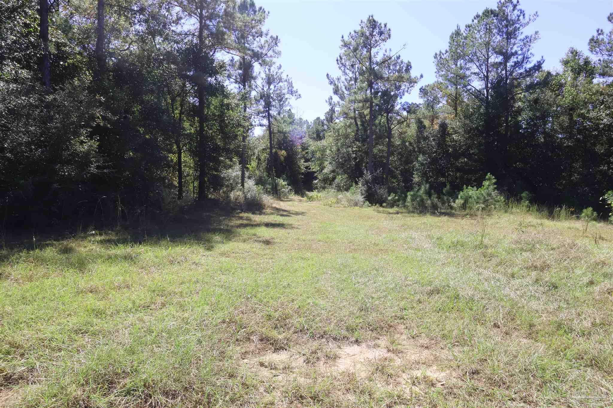 0 Sid Hayes Road Jay, FL 32565 - Photo 8 of 11 Gallery Image 8