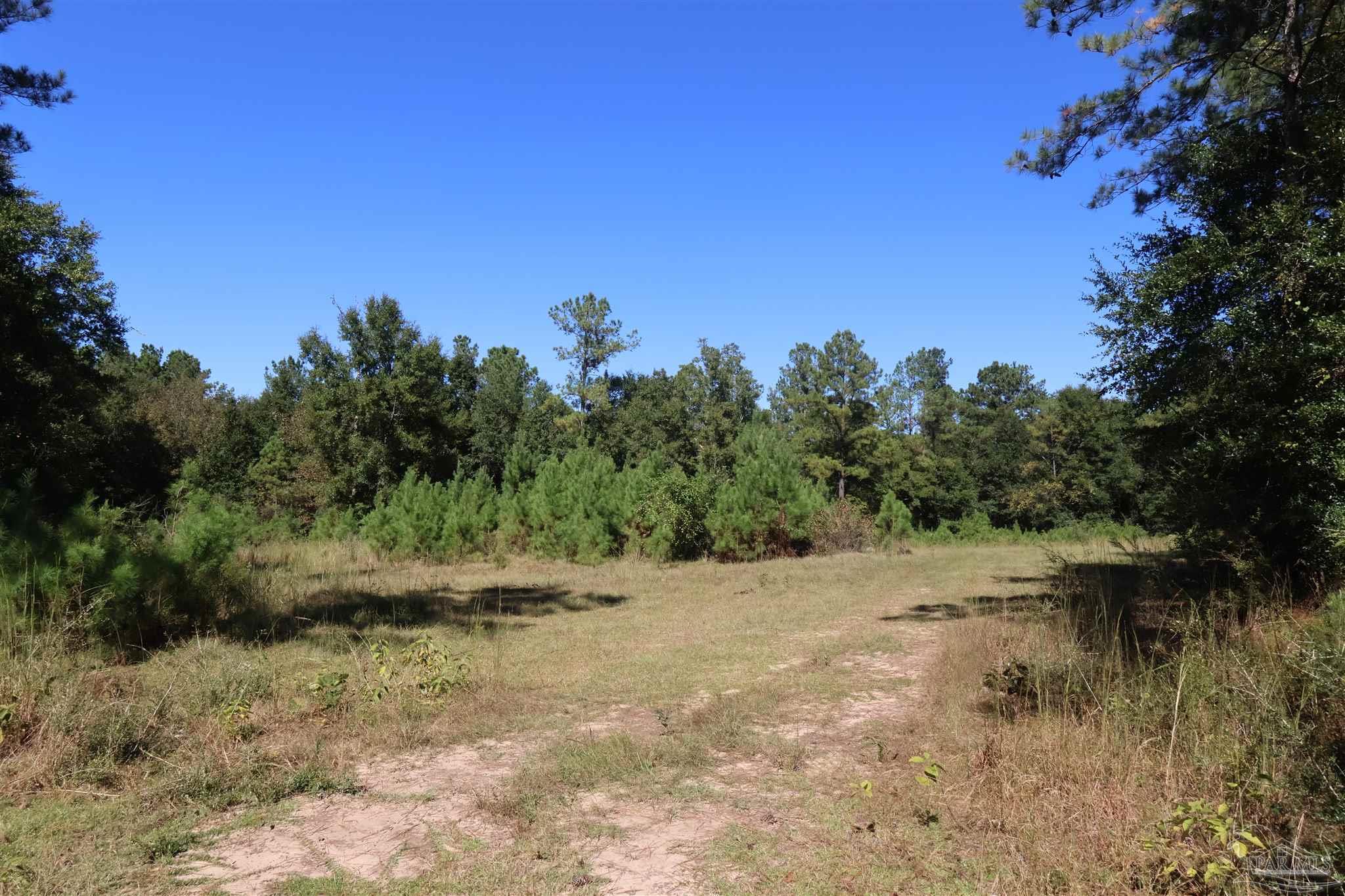 0 Sid Hayes Road Jay, FL 32565 - Photo 9 of 11 Gallery Image 9