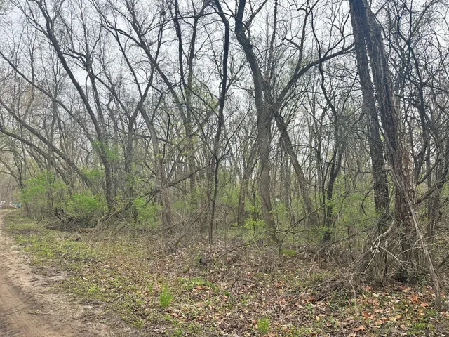 $36,000 | Lot 0 Catfish Drive, Trempealeau, WI 54661