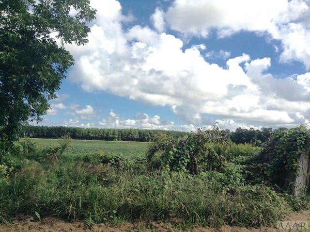 319 Bay Branch Road Belvidere, NC 27919 - Photo 13 of 15 Additional Acreage View