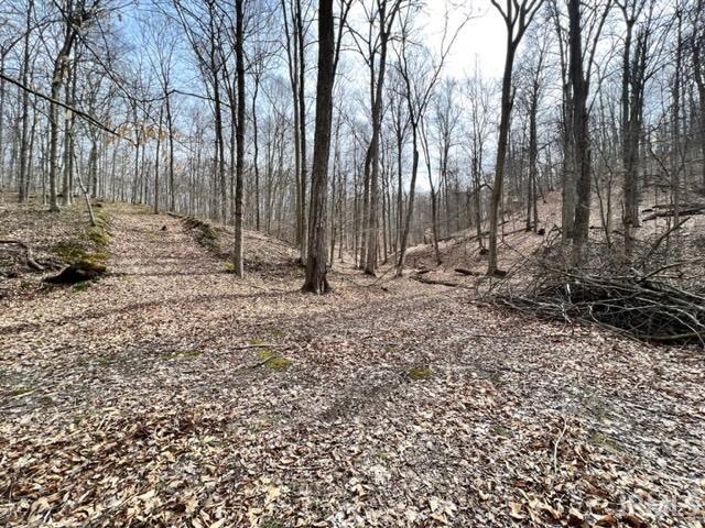 0 Long Lake Road Nashville, IN 47448 - Photo 17 of 36 Gallery Image 17