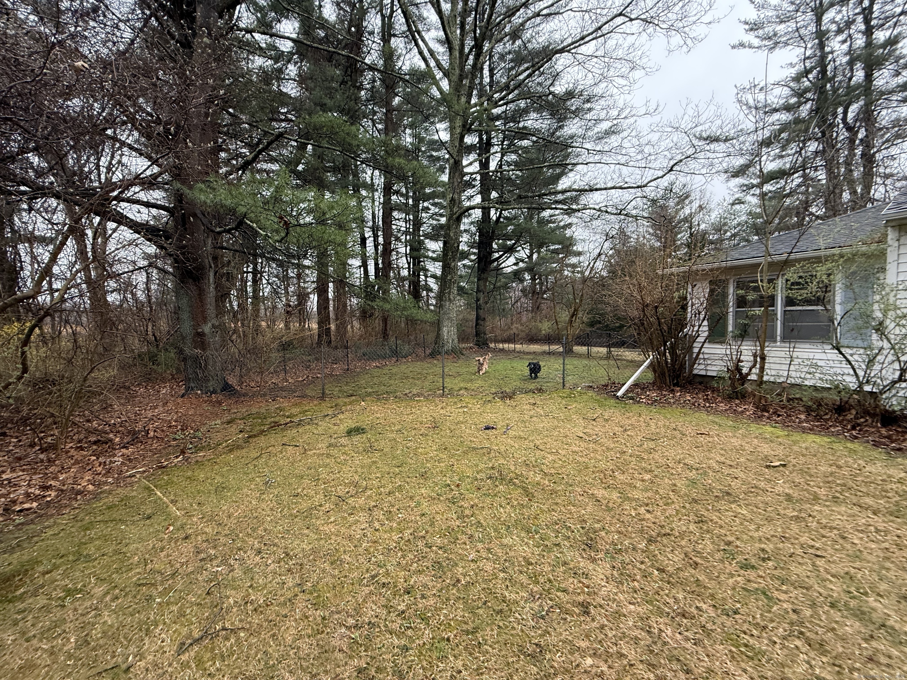 217 Danbury Road Ridgefield, CT 06877 - Photo 11 of 24