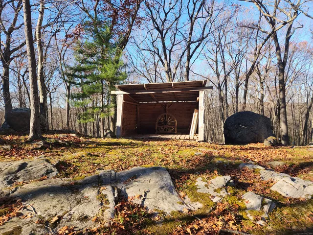 a view of outdoor space with deck and tree