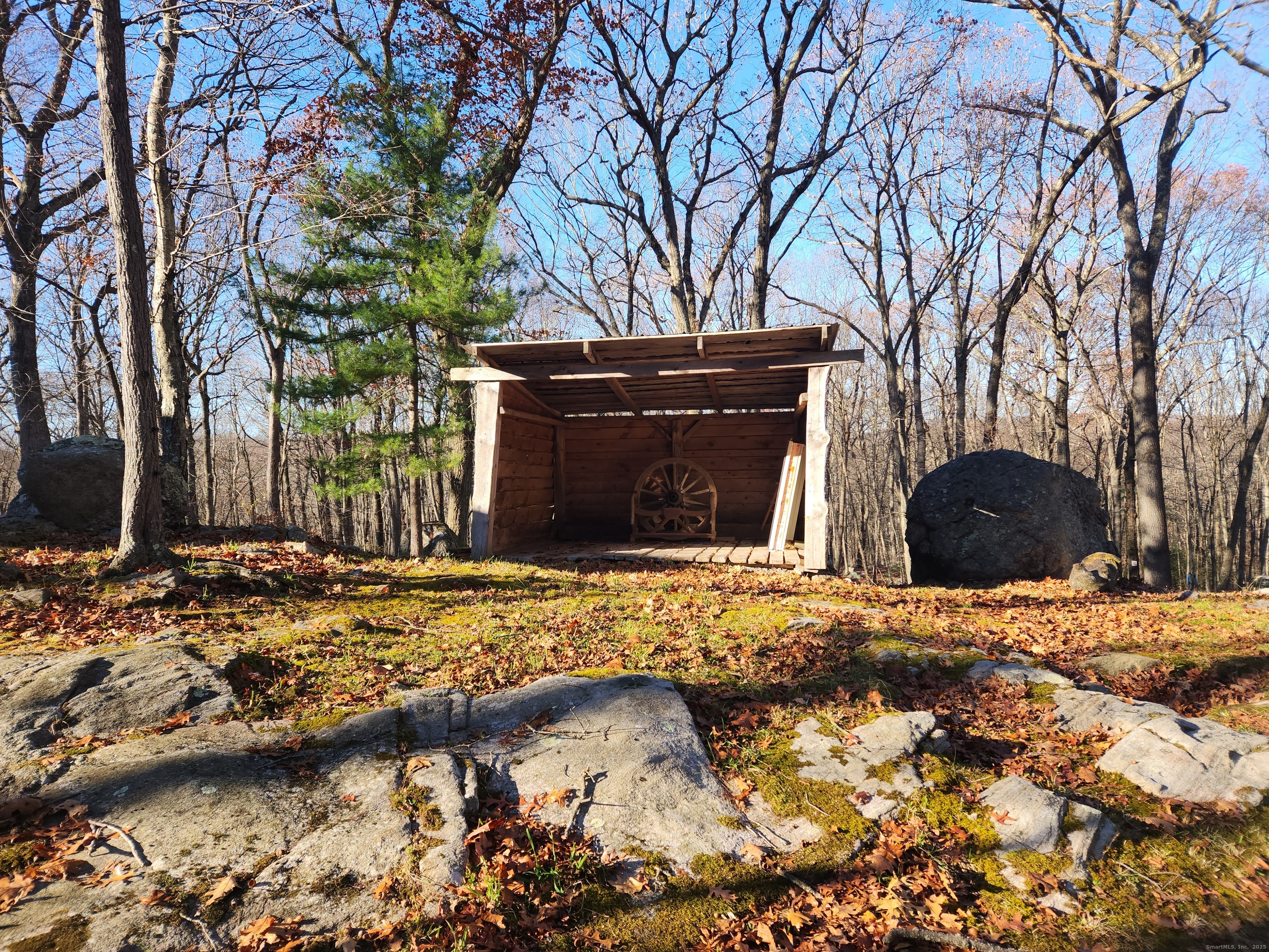 11 Judges Hollow Road Fairfield, CT 06824 - Photo 11 of 16 a view of a backyard of the house