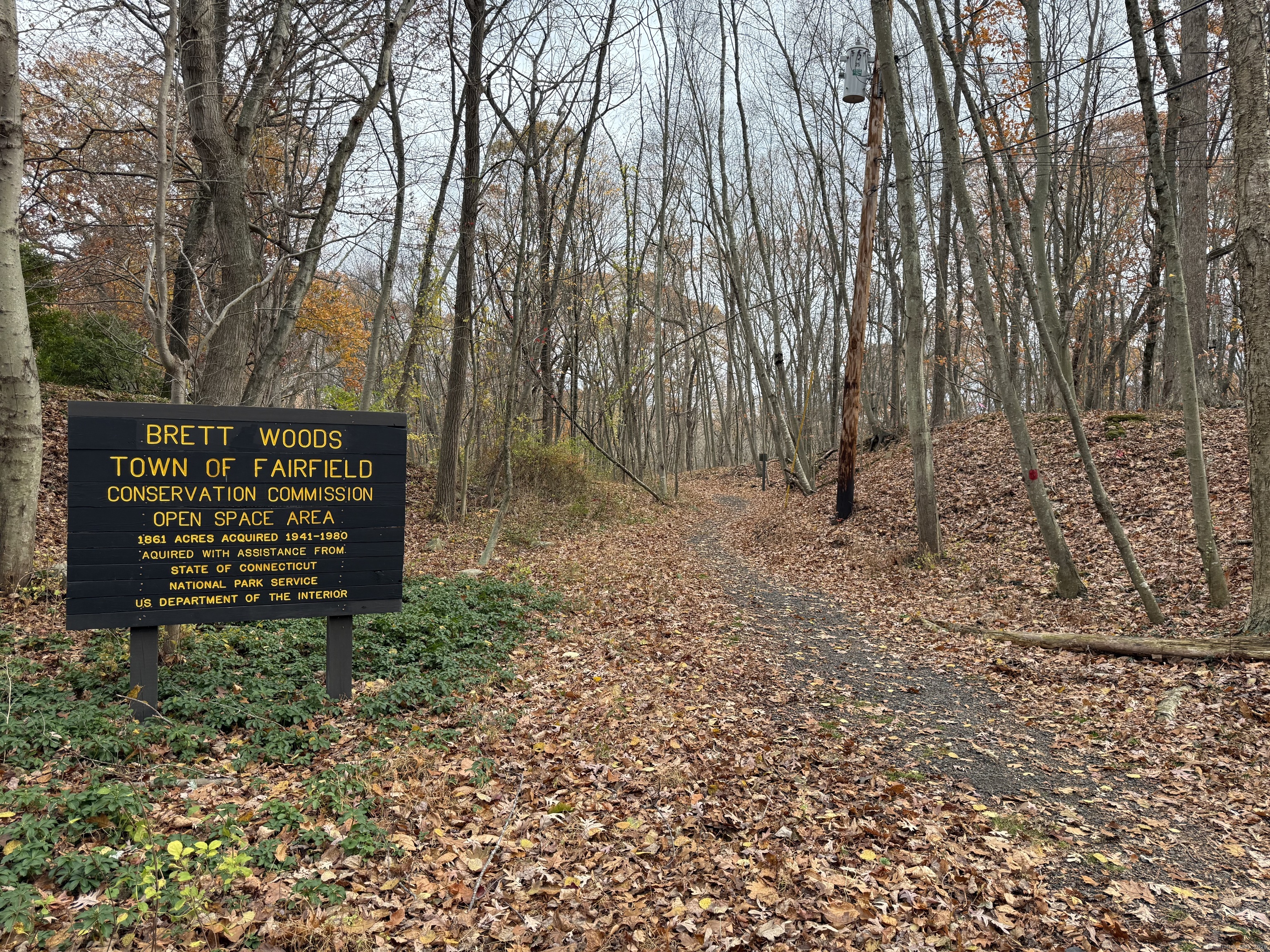 11 Judges Hollow Road Fairfield, CT 06824 - Photo 12 of 16 a view of outdoor space with deck and tree