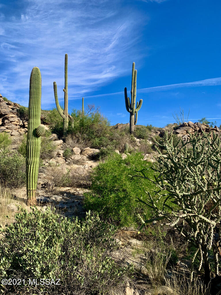 North Sacred Canyon Road Marana, AZ 85658 - Photo 2 of 16