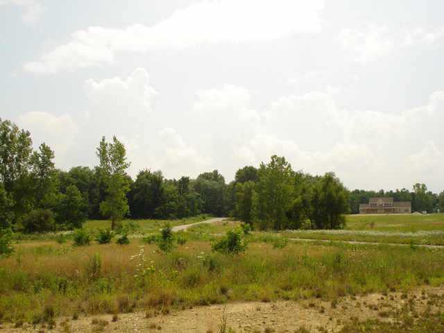 134 Williamson Road Southwest, Unit LOT# 79 Pataskala, OH 43062 - Photo 3 of 3 Gallery Image 3