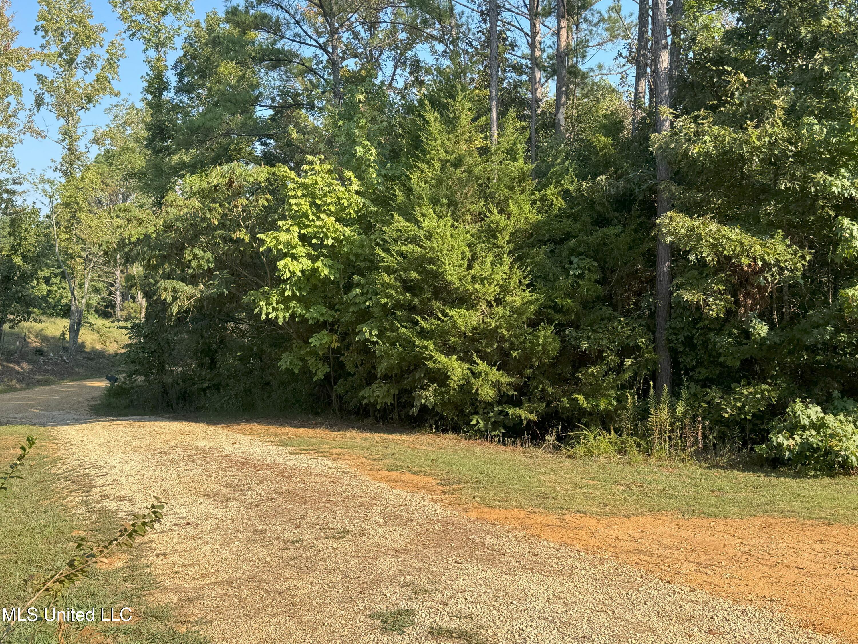 1113 New Salem Road Pontotoc, MS 38863 - Photo 34 of 36 IMG_3744