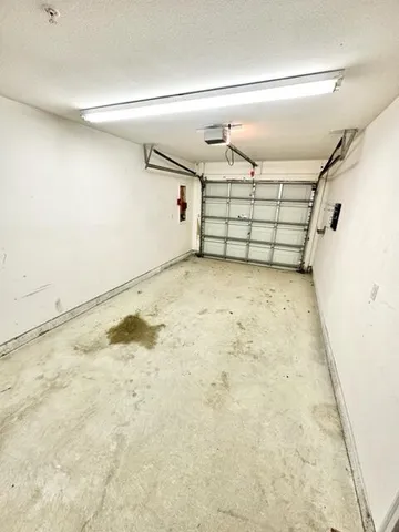 a view of backyard with large tree