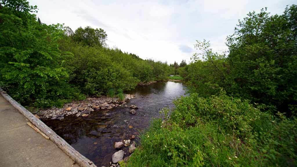 Lot 18 Jones Road Monticello, ME 04760 - Photo 36 of 52 dead-stream-monticello-3