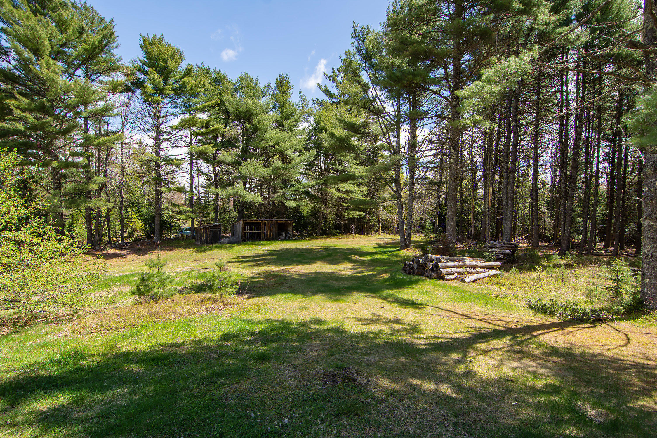 393 Pierces Pond Road Penobscot, ME 04476 - Photo 21 of 25 393 Pierces Pond Road-print-024-5-Yard-2