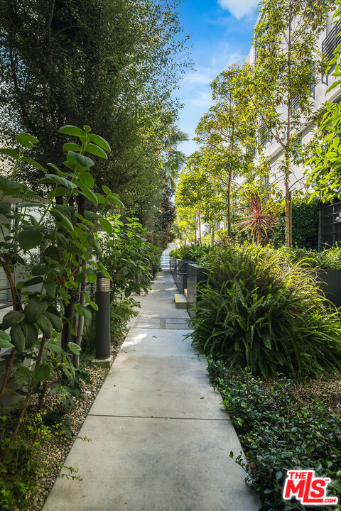 310 Washington Boulevard, Unit 401 Marina del Rey, CA 90292 - Photo 26 of 32 a picture of flowers
